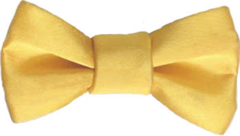 Yellow Bow